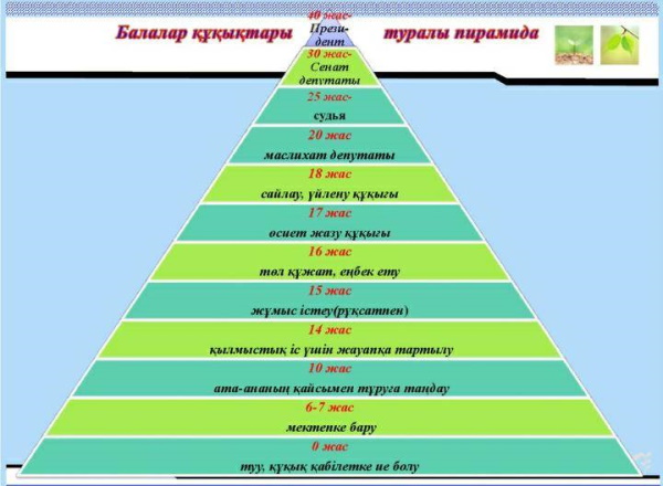 Порно жұтқан әтеш