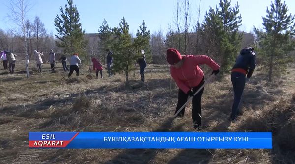 Бүкiлқазақстандық ағаш отырғызу күнi